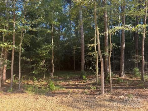 106 Serenity Creek Drive Waxhaw NC 28173