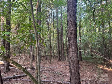 106 Serenity Creek Drive Waxhaw NC 28173