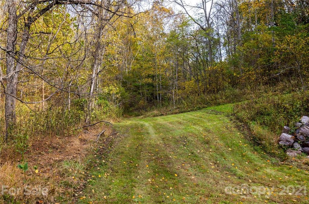 4904 Whitson Branch Road Green Mountain NC 28740