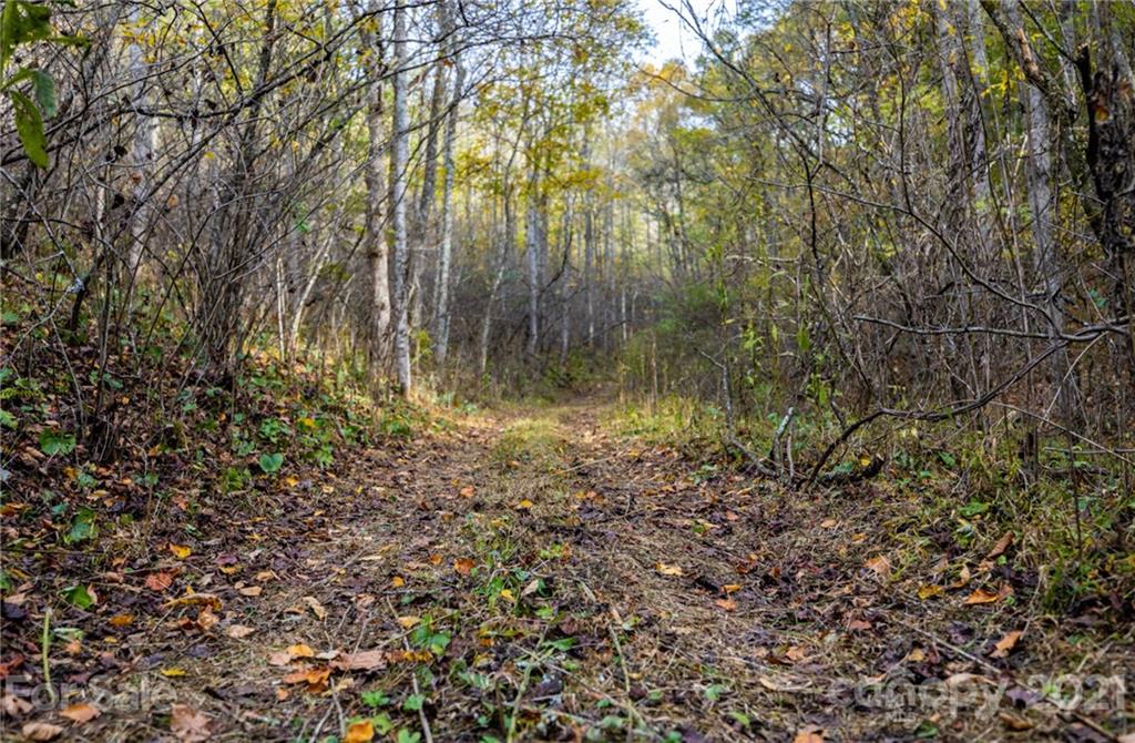 4904 Whitson Branch Road Green Mountain NC 28740