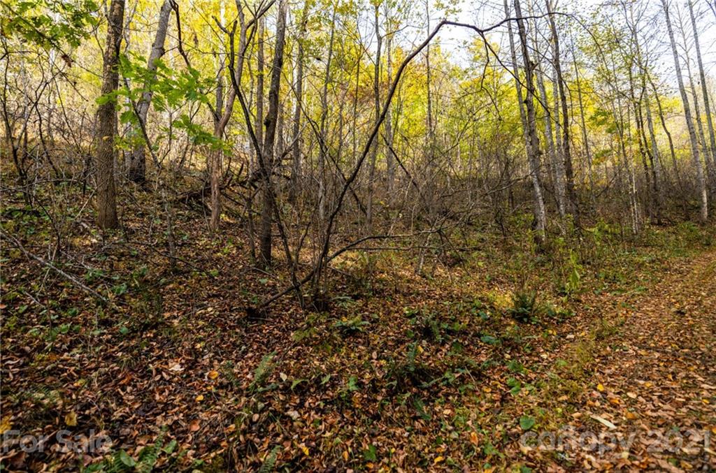 4904 Whitson Branch Road Green Mountain NC 28740