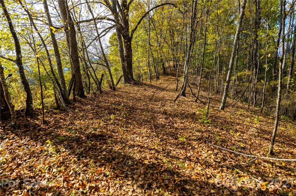 4904 Whitson Branch Road Green Mountain NC 28740
