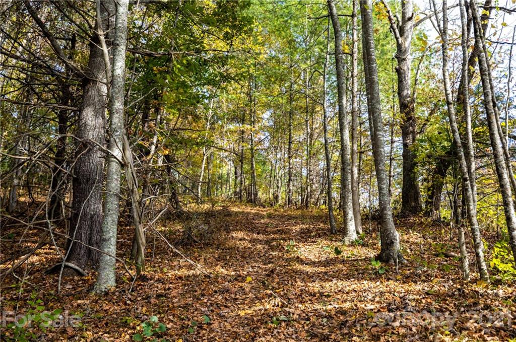 4904 Whitson Branch Road Green Mountain NC 28740