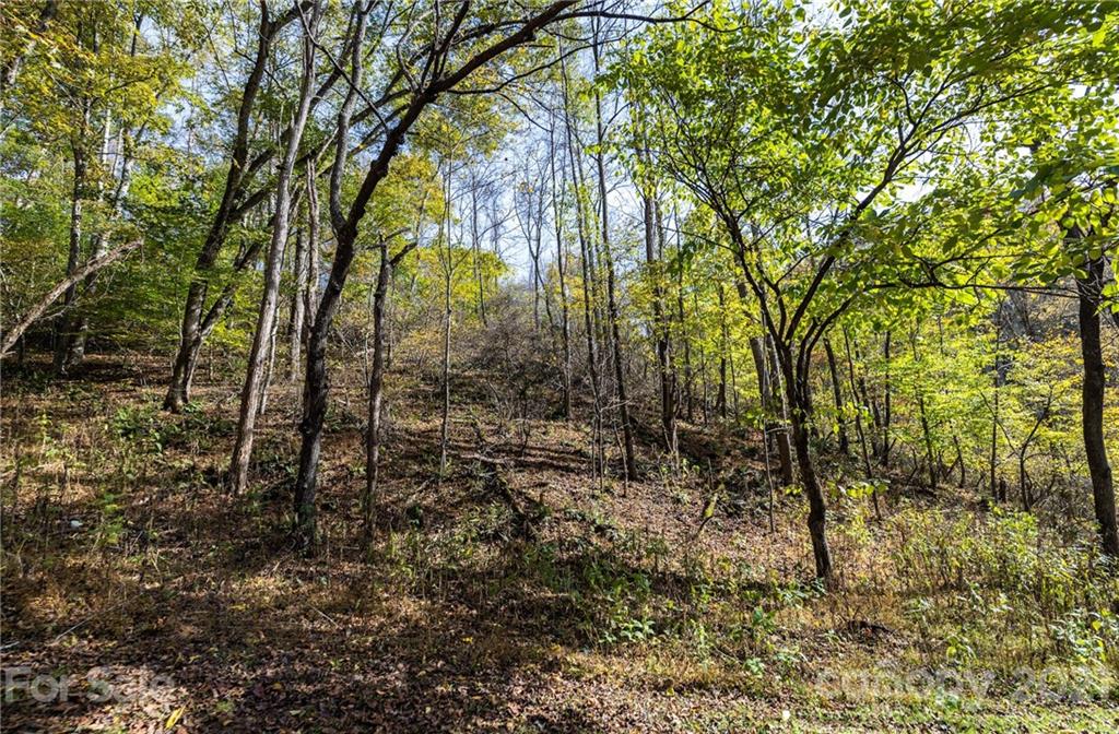 4904 Whitson Branch Road Green Mountain NC 28740