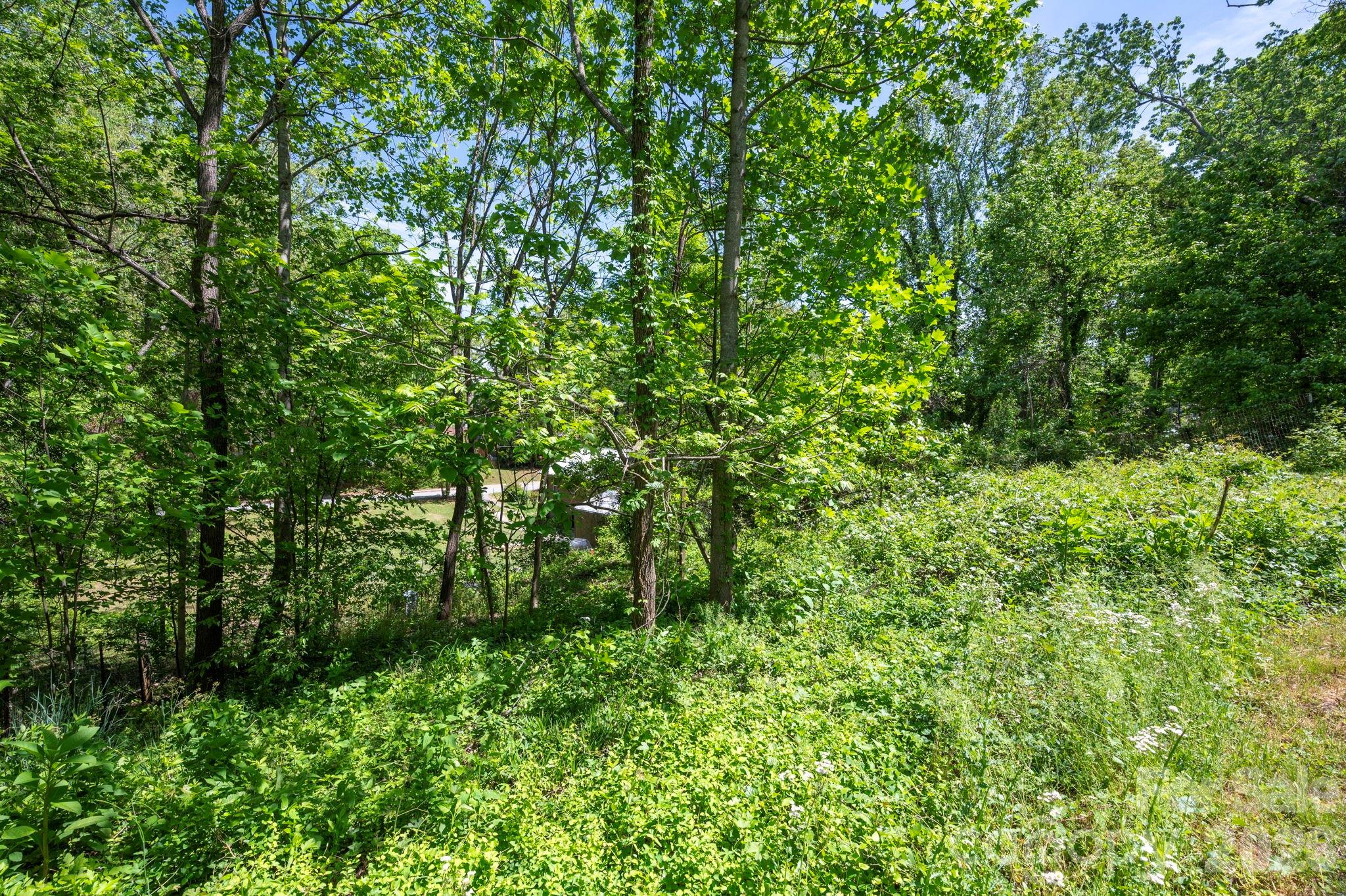 111 Dorchester Avenue Asheville NC 28806
