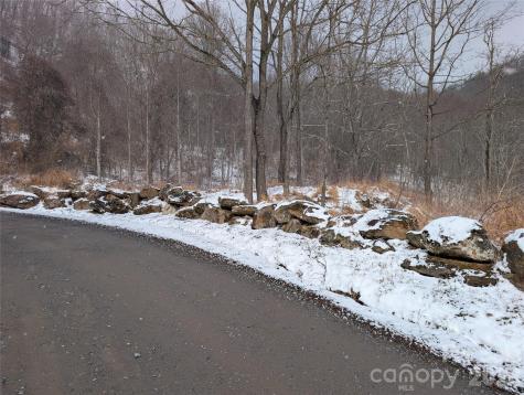 00 Bear Wallow Trail Canton NC 28716