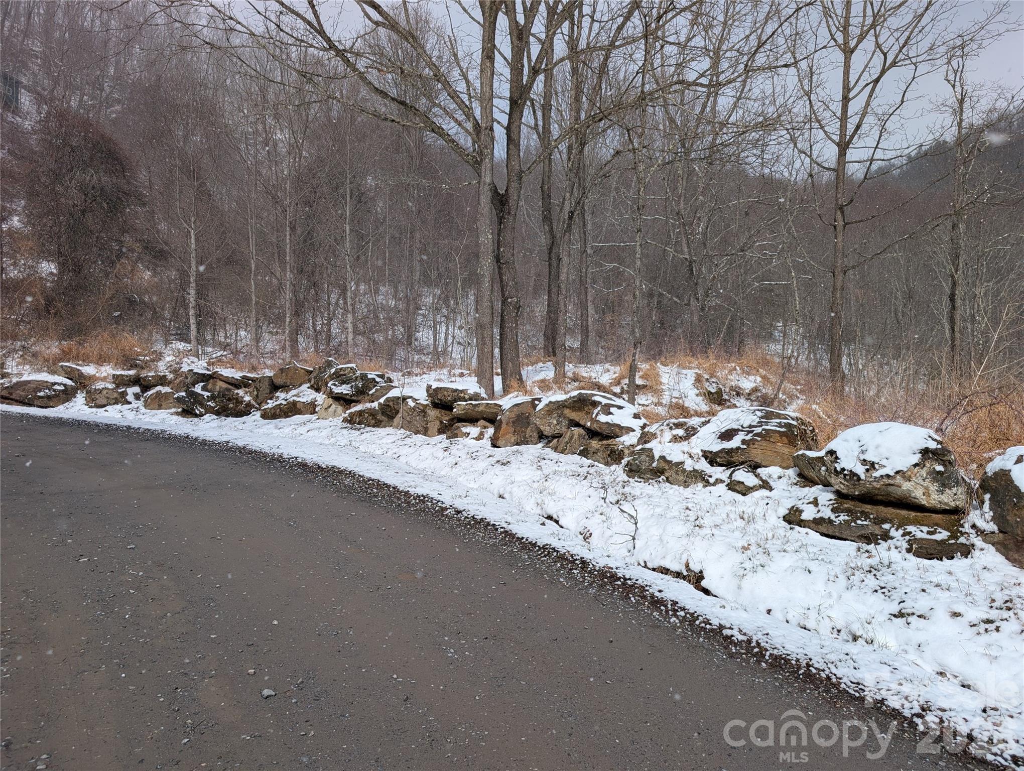 00 Bear Wallow Trail Canton NC 28716