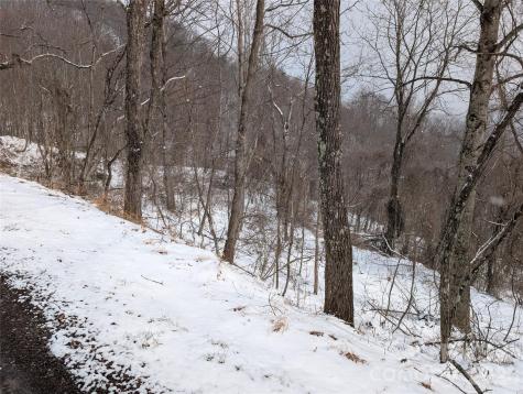 00 Bear Wallow Trail Canton NC 28716