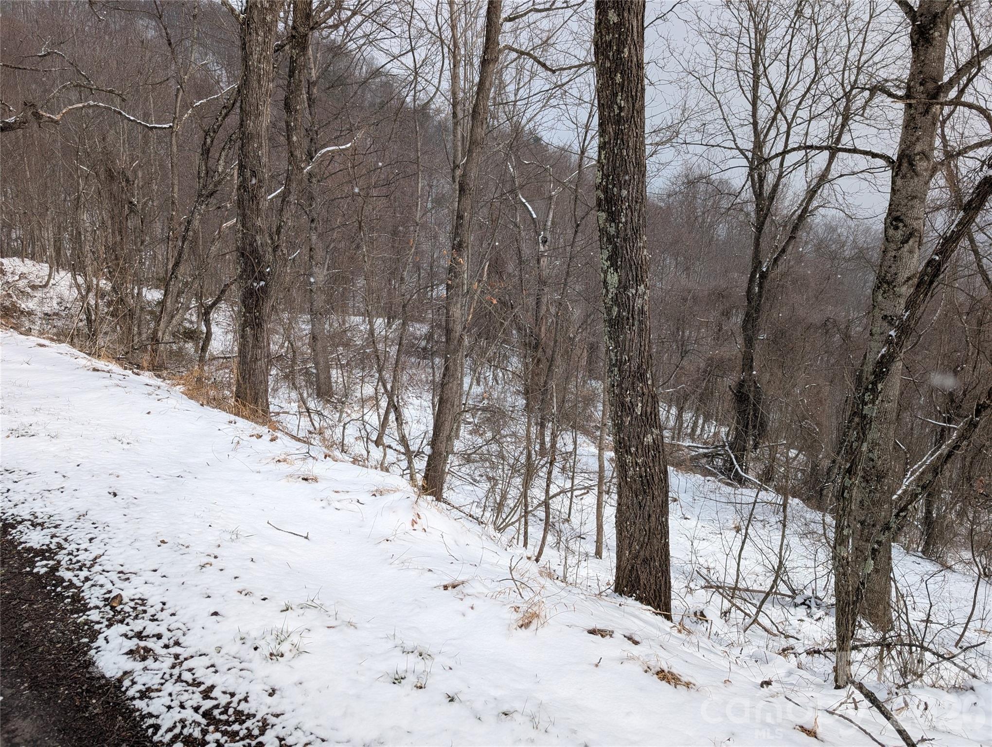 00 Bear Wallow Trail Canton NC 28716