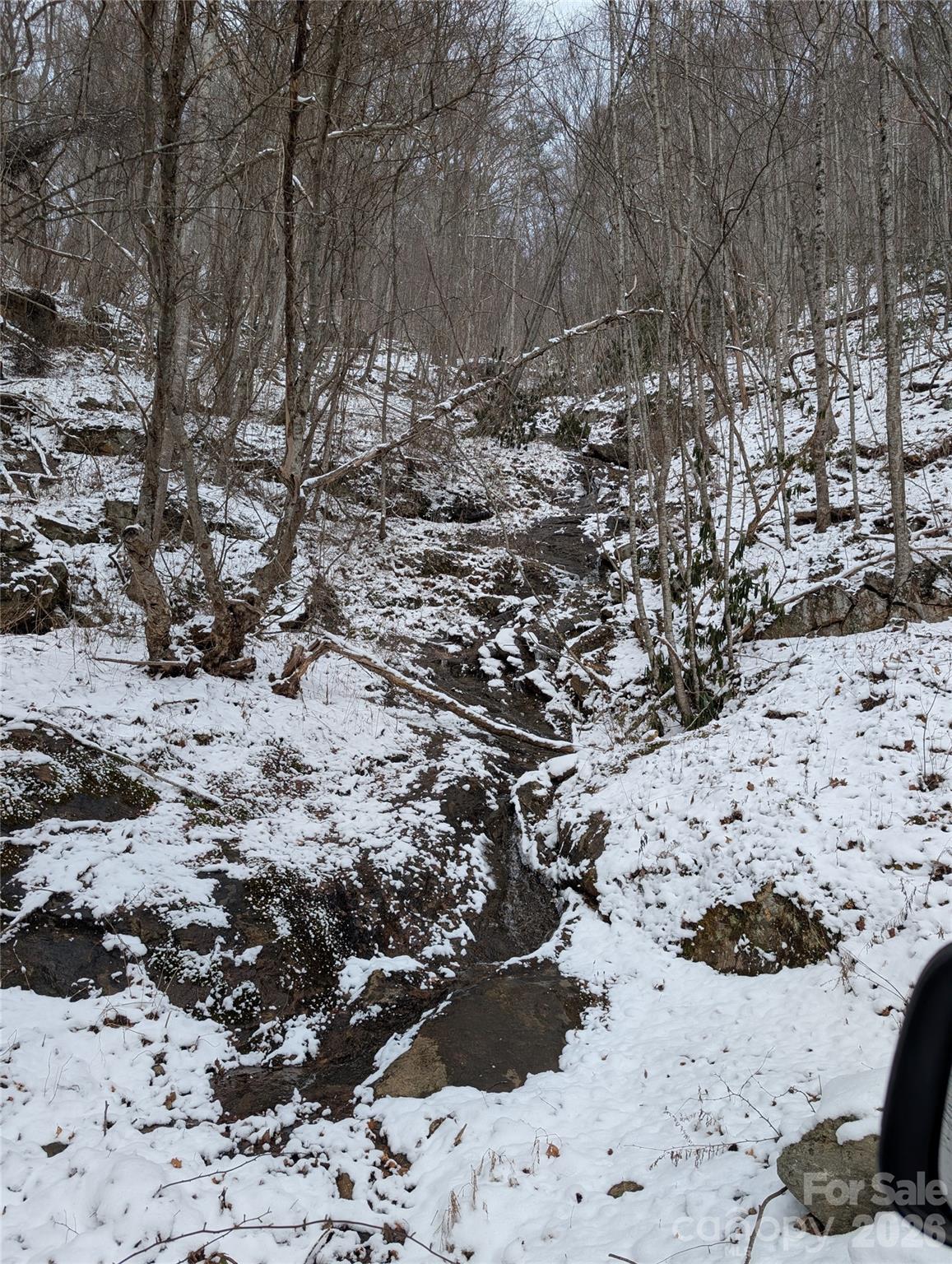 00 Bear Wallow Trail Canton NC 28716