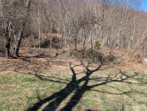00 Bear Wallow Trail Canton NC 28716