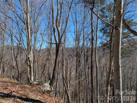00 Bear Wallow Trail Canton NC 28716