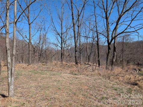 00 Bear Wallow Trail Canton NC 28716