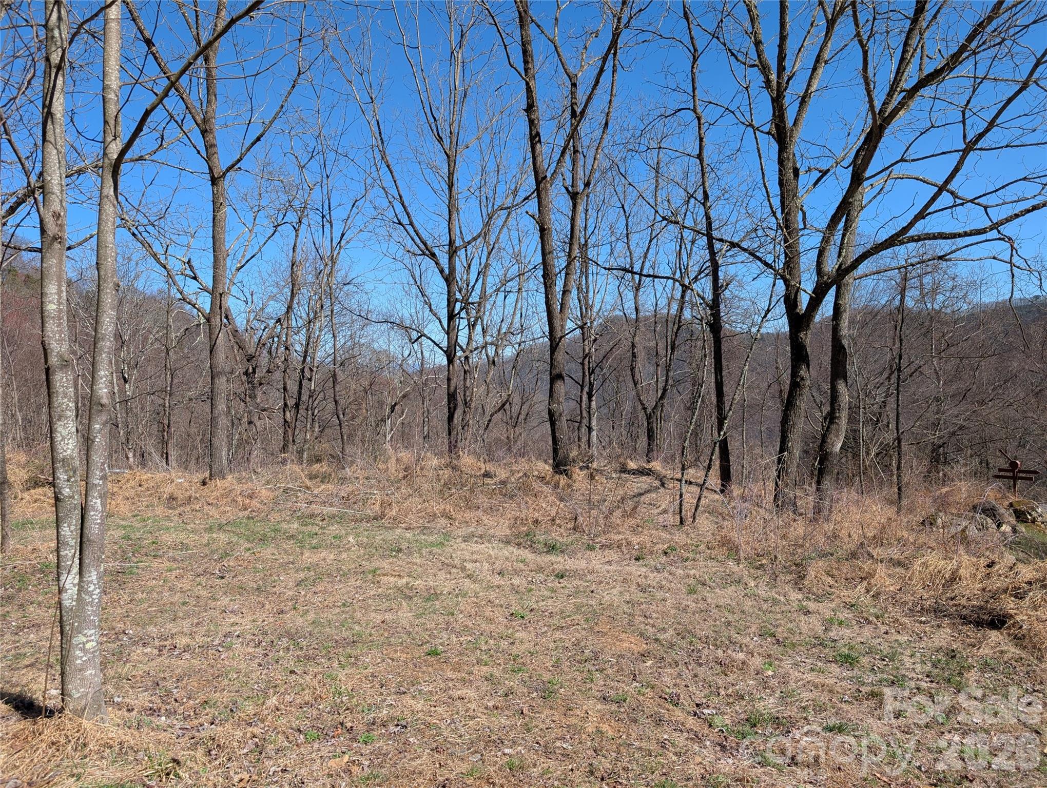 00 Bear Wallow Trail Canton NC 28716