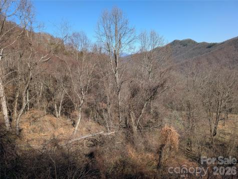 00 Bear Wallow Trail Canton NC 28716
