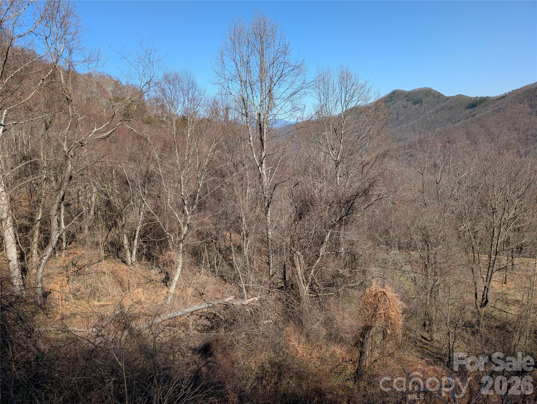 00 Bear Wallow Trail Canton NC 28716