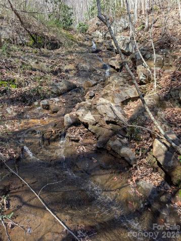 00 Bear Wallow Trail Canton NC 28716