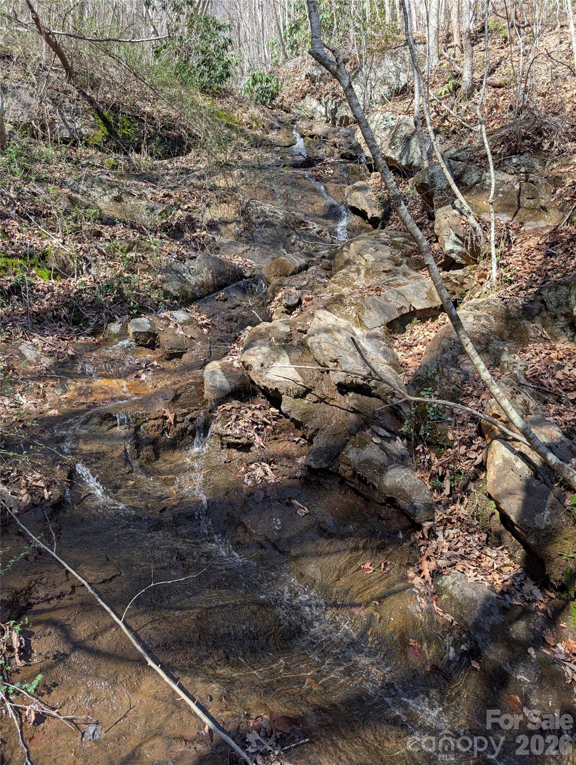 00 Bear Wallow Trail Canton NC 28716