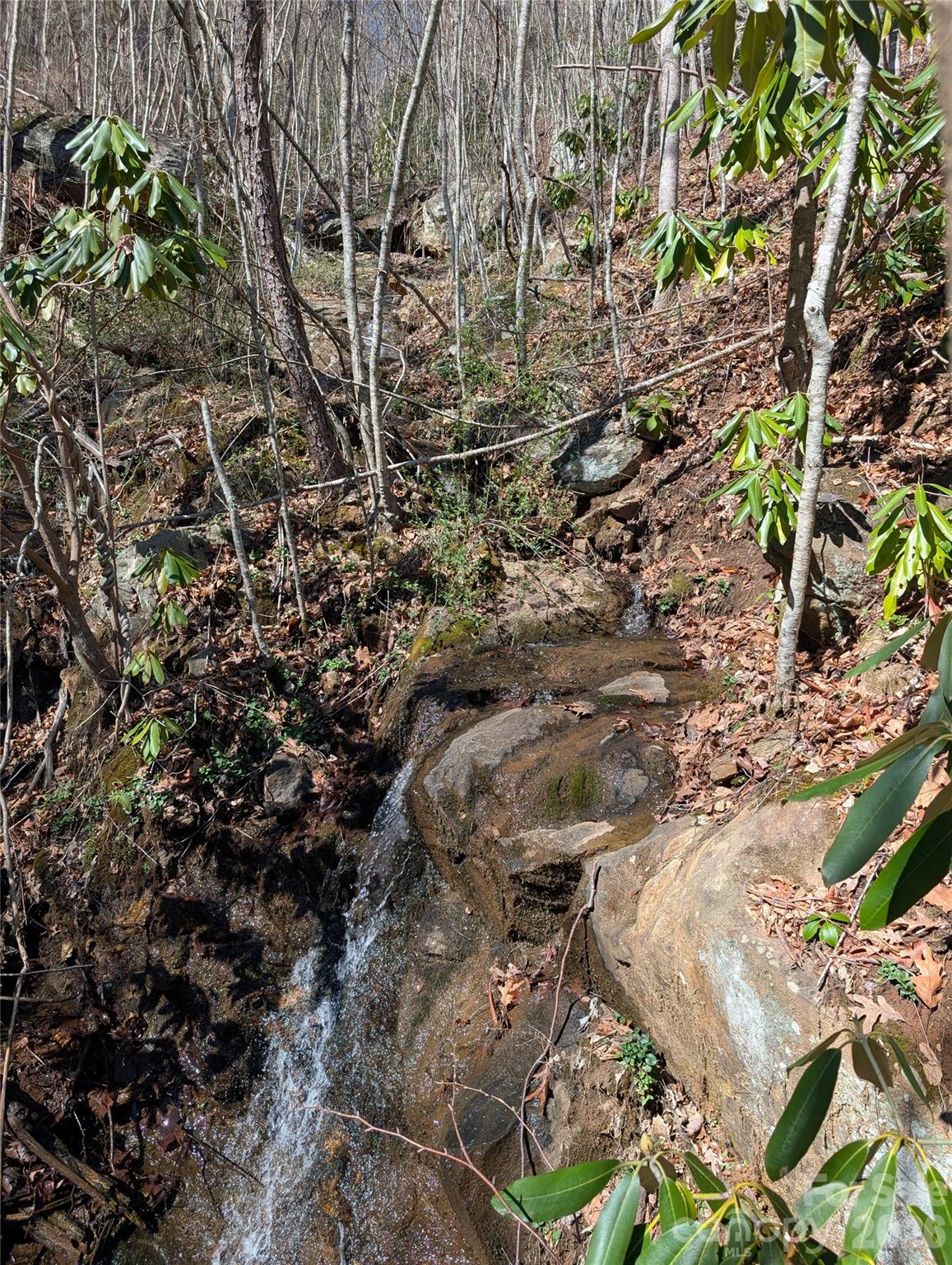 00 Bear Wallow Trail Canton NC 28716