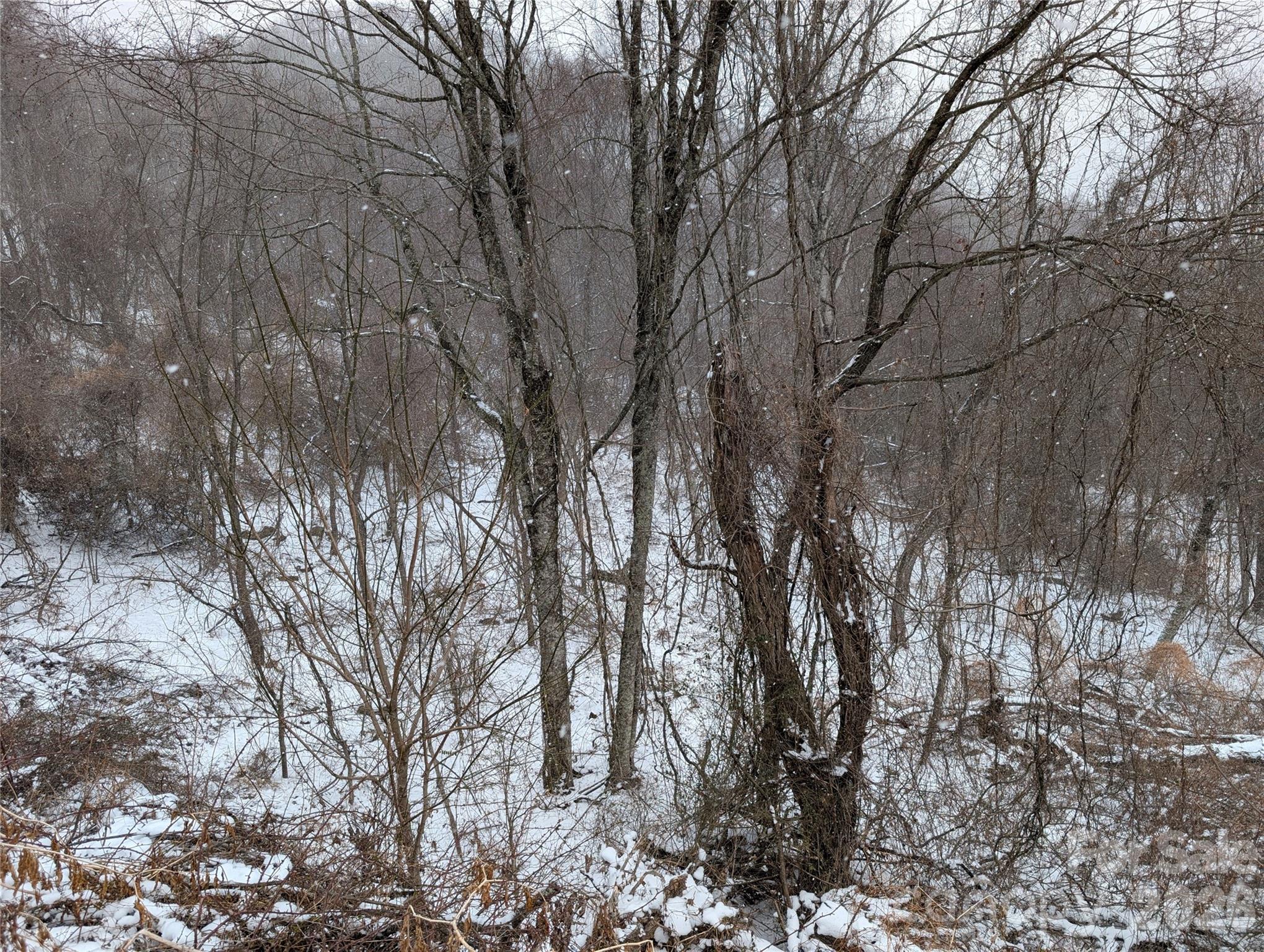 00 Bear Wallow Trail Canton NC 28716