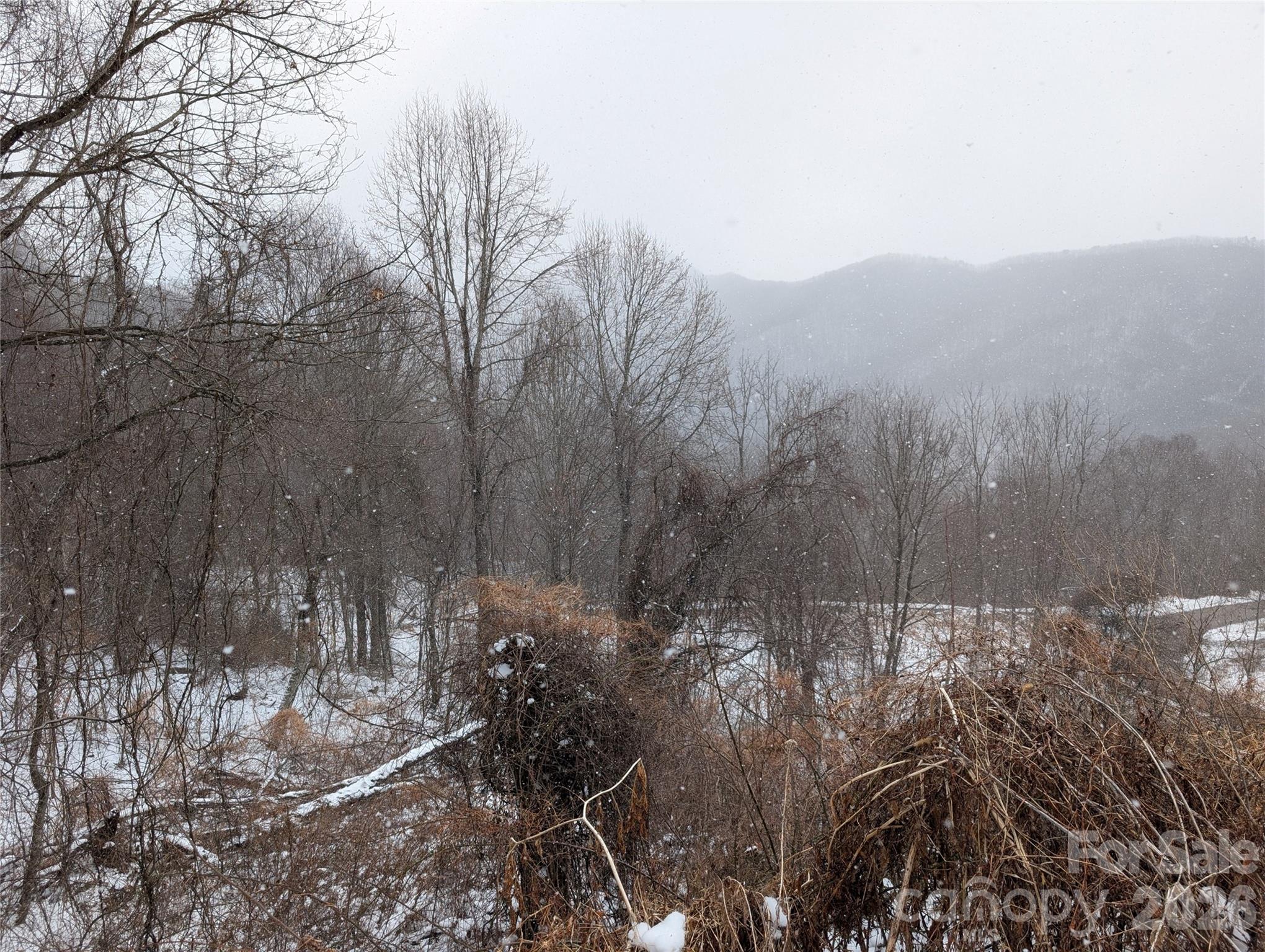 00 Bear Wallow Trail Canton NC 28716