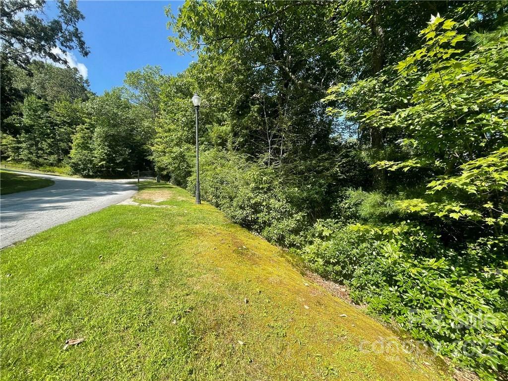 99999 Pine Mountain Trail Brevard NC 28712