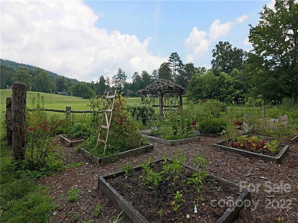 99999 Pine Mountain Trail Brevard NC 28712