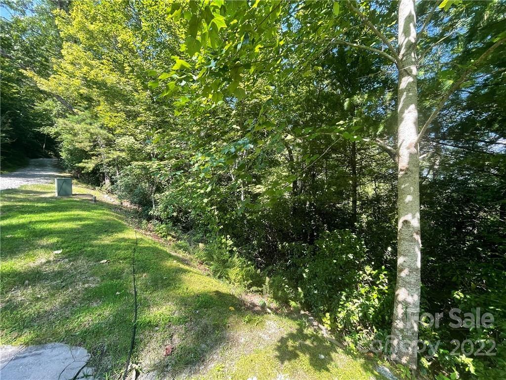 99999 Pine Mountain Trail Brevard NC 28712