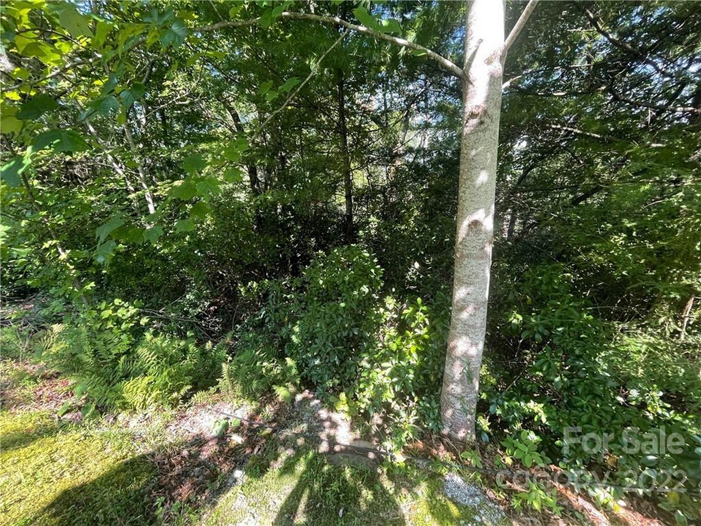 99999 Pine Mountain Trail Brevard NC 28712