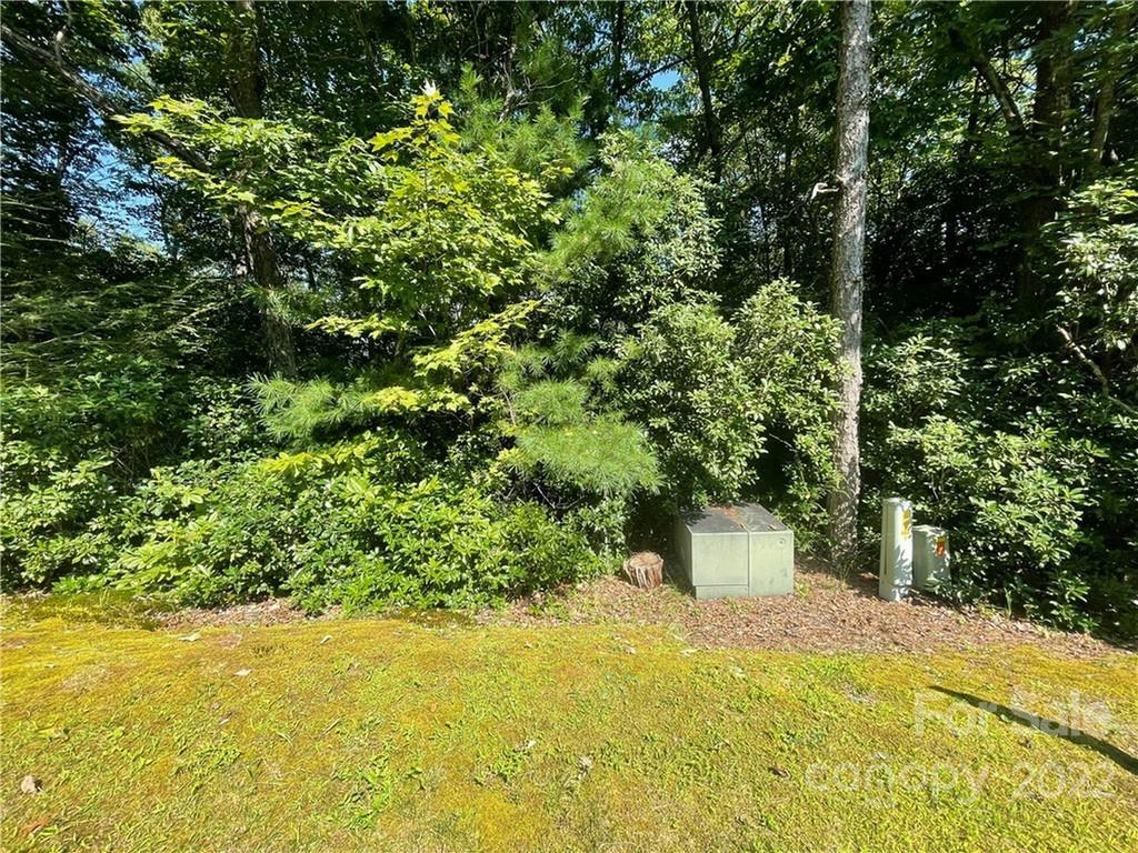 99999 Pine Mountain Trail Brevard NC 28712