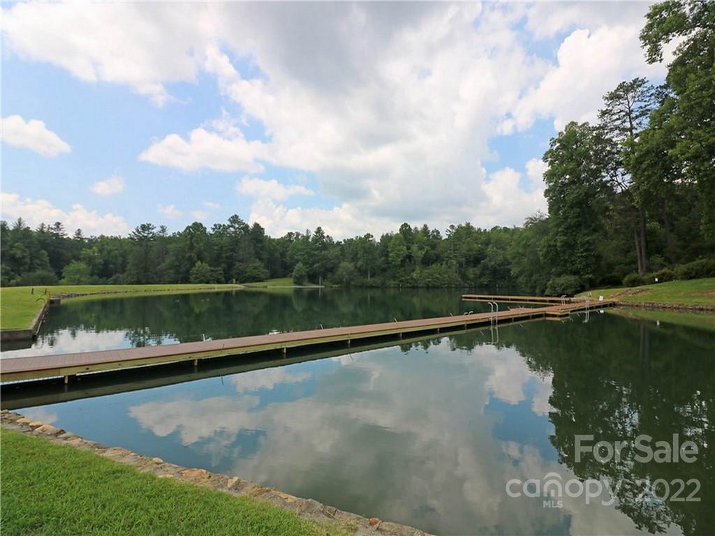 99999 Pine Mountain Trail Brevard NC 28712