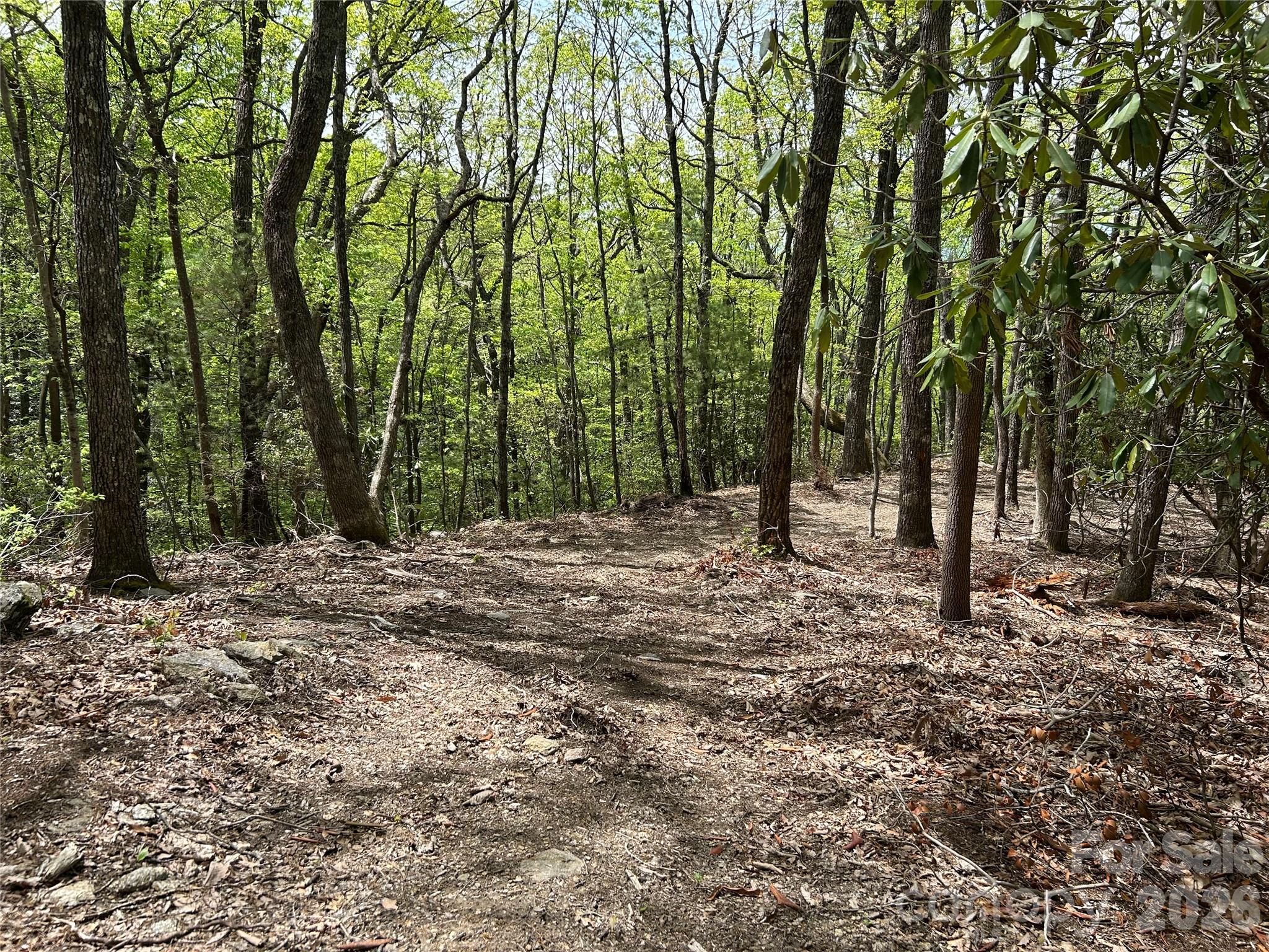 000 John Delk Road Hendersonville NC 28792