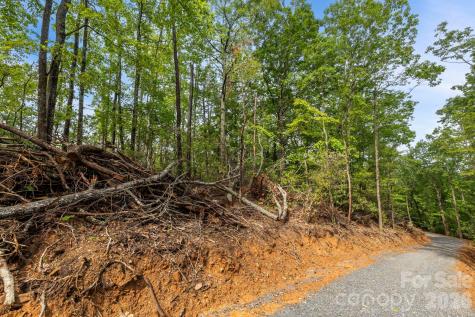 000 John Delk Road Hendersonville NC 28792