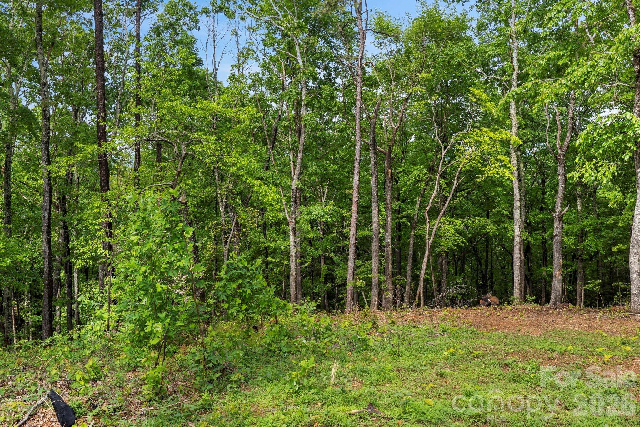 000 John Delk Road Hendersonville NC 28792