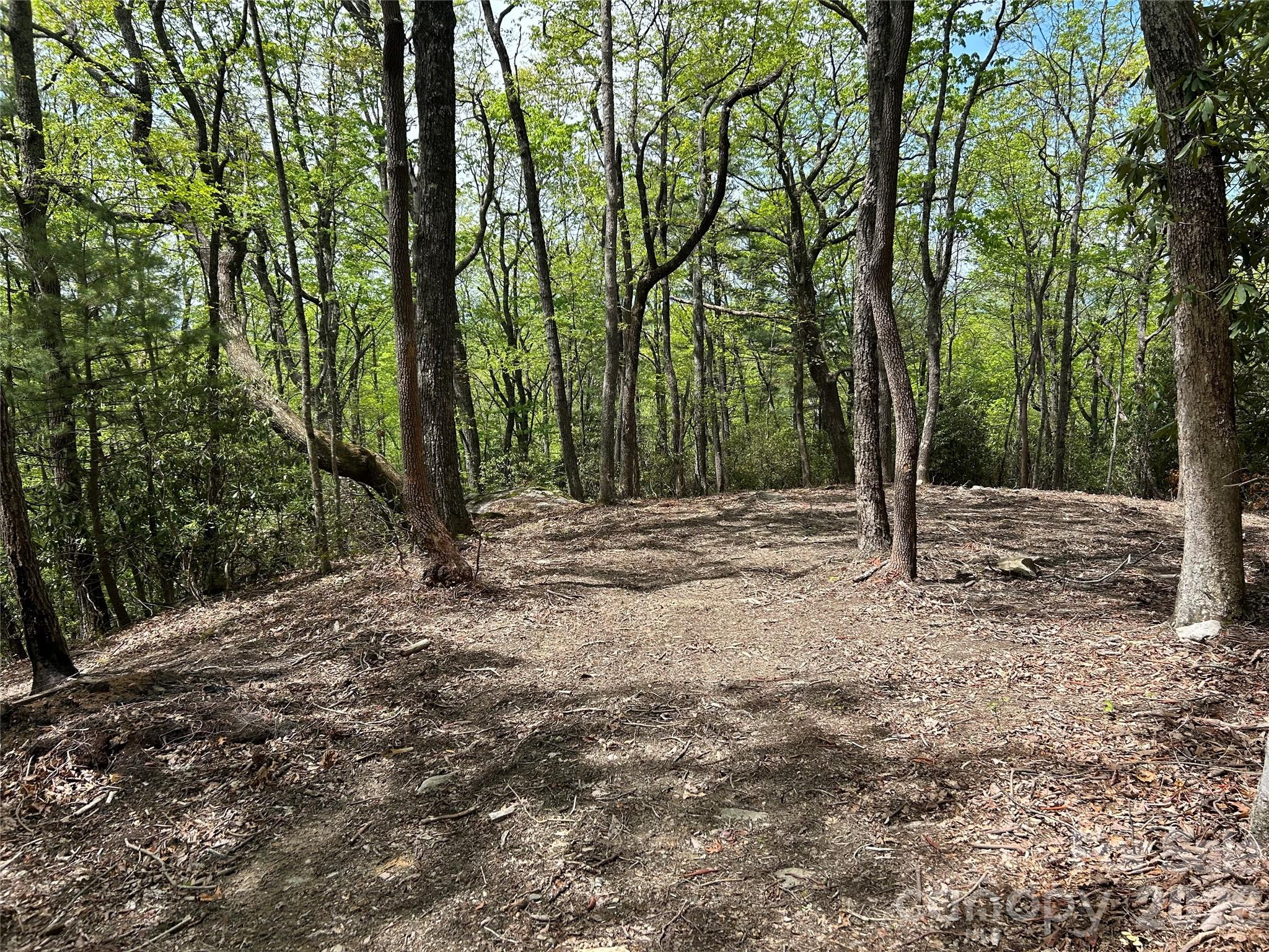 000 John Delk Road Hendersonville NC 28792