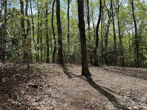000 John Delk Road Hendersonville NC 28792