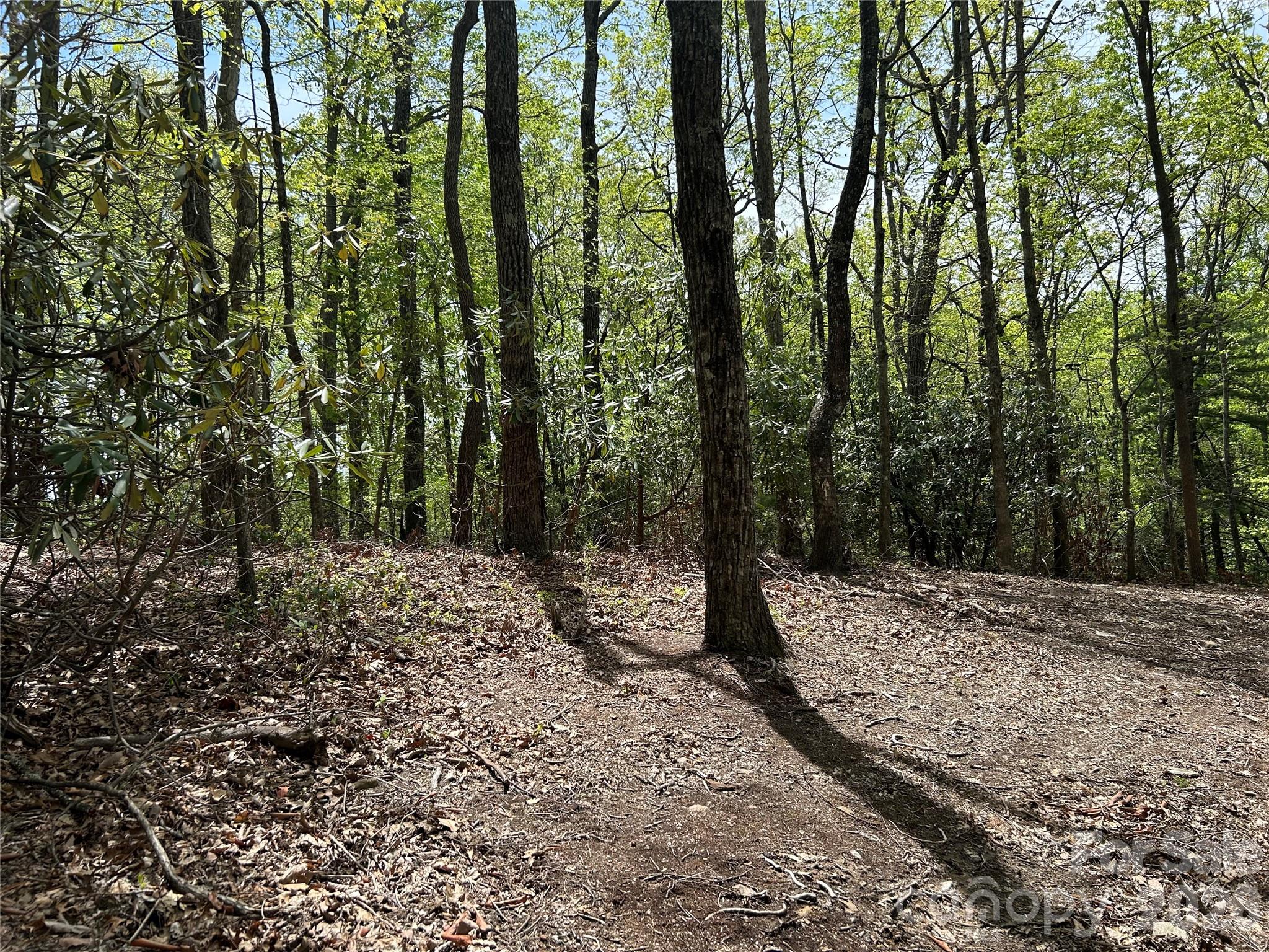 000 John Delk Road Hendersonville NC 28792