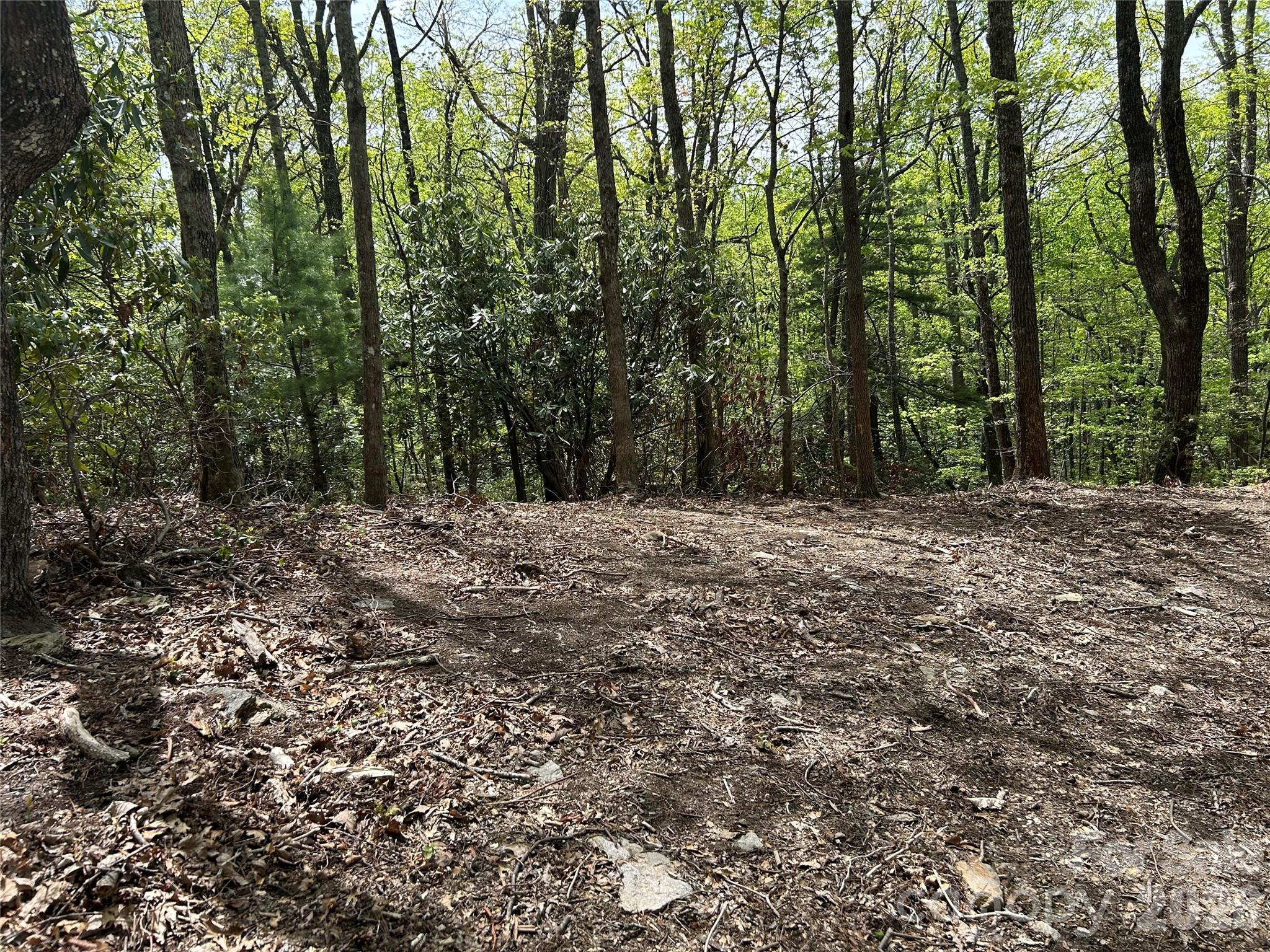 000 John Delk Road Hendersonville NC 28792