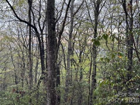 000 John Delk Road Hendersonville NC 28792