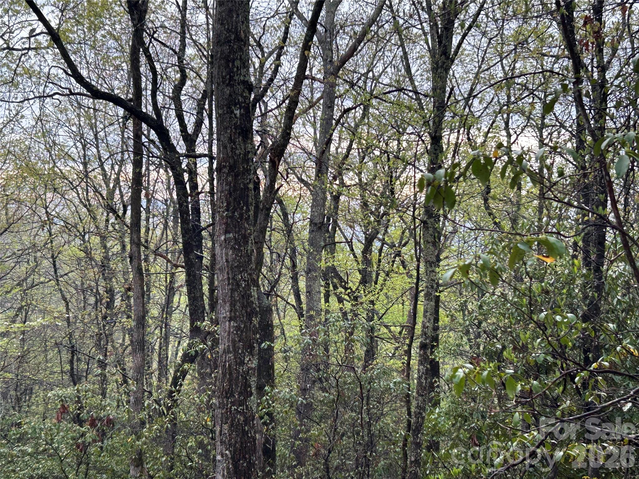 000 John Delk Road Hendersonville NC 28792