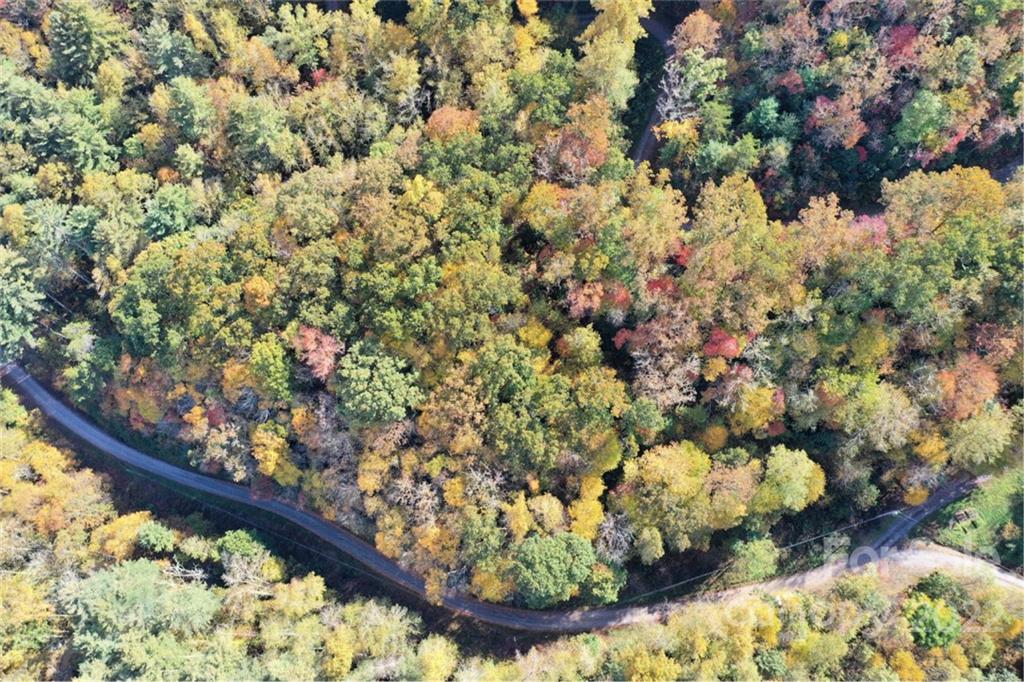 Vl74 Mountain Forest Estates Sylva NC 28779