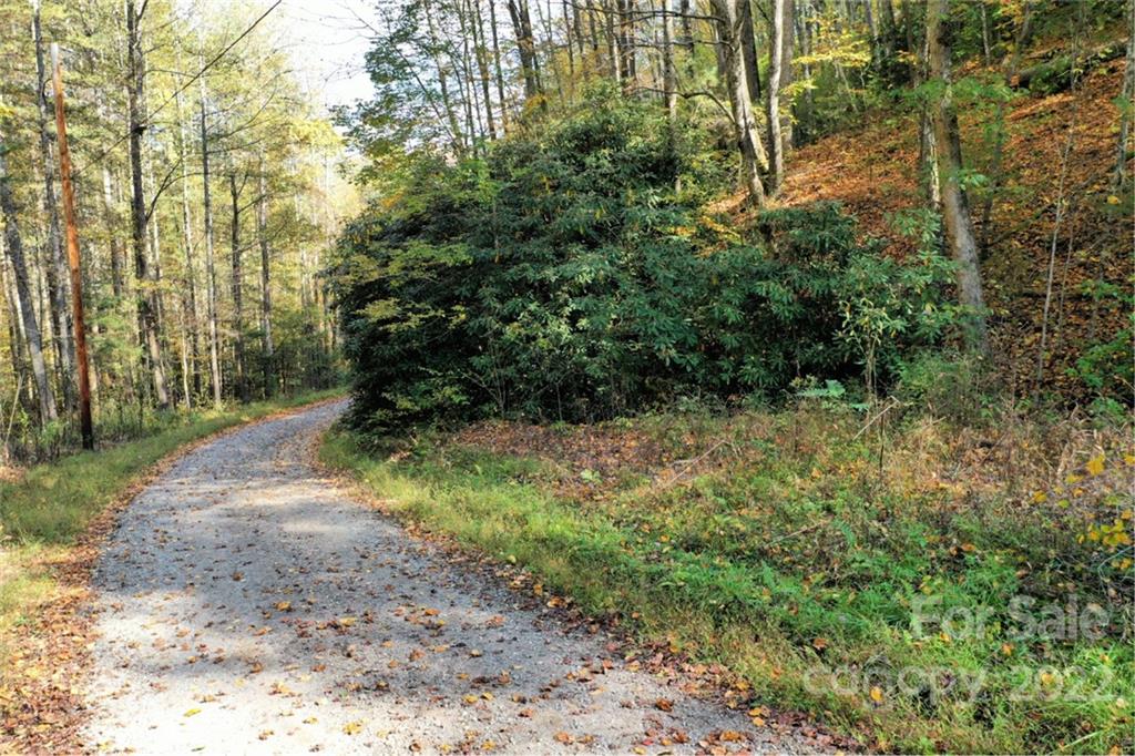 Vl74 Mountain Forest Estates Sylva NC 28779