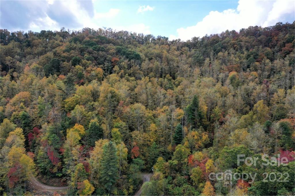 Vl74 Mountain Forest Estates Sylva NC 28779