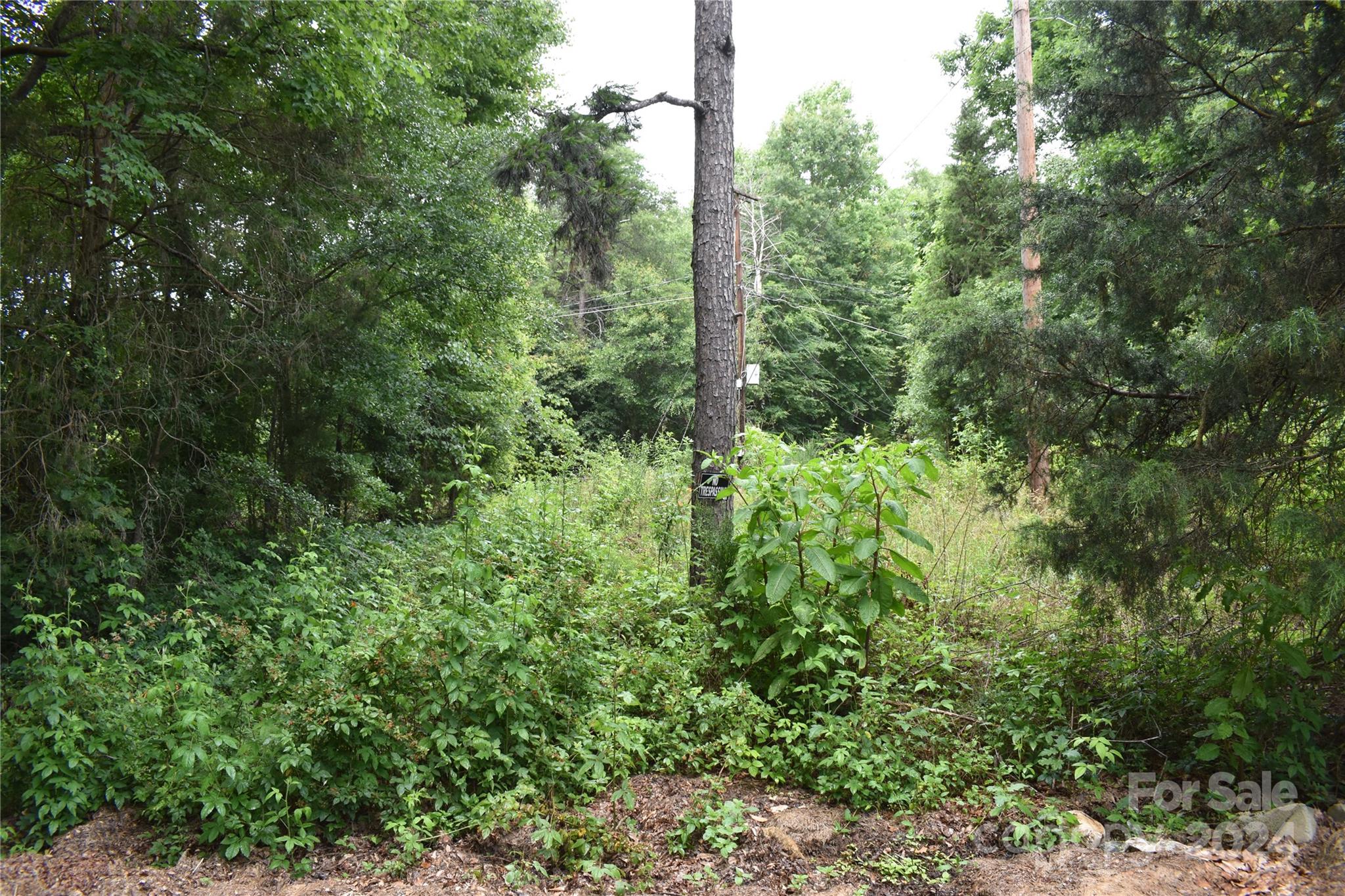 1690 Roseland Drive Lincolnton NC 28092