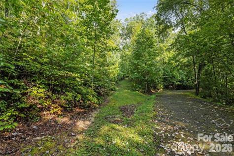 Tbd Barts Branch Drive Balsam Grove NC 28708