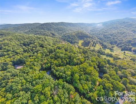 Tbd Barts Branch Drive Balsam Grove NC 28708