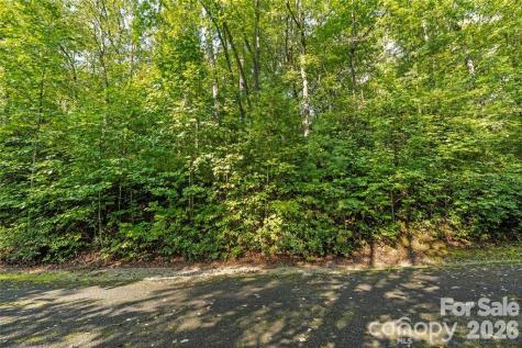 Tbd Barts Branch Drive Balsam Grove NC 28708