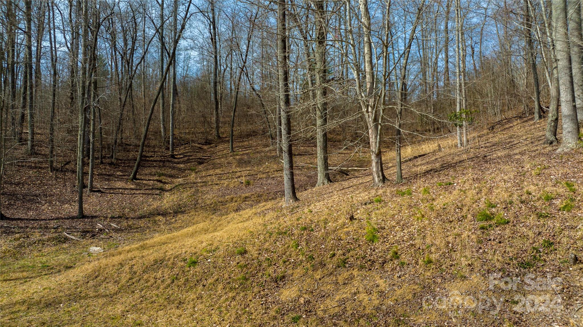 120 Ben Lippen School Road Asheville NC 28806