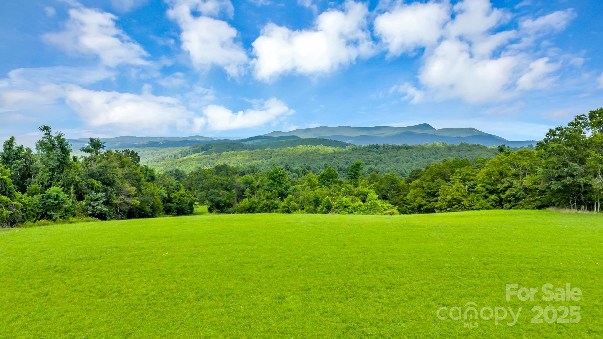 Tbd Murphy Bend Road Ennice NC 28623