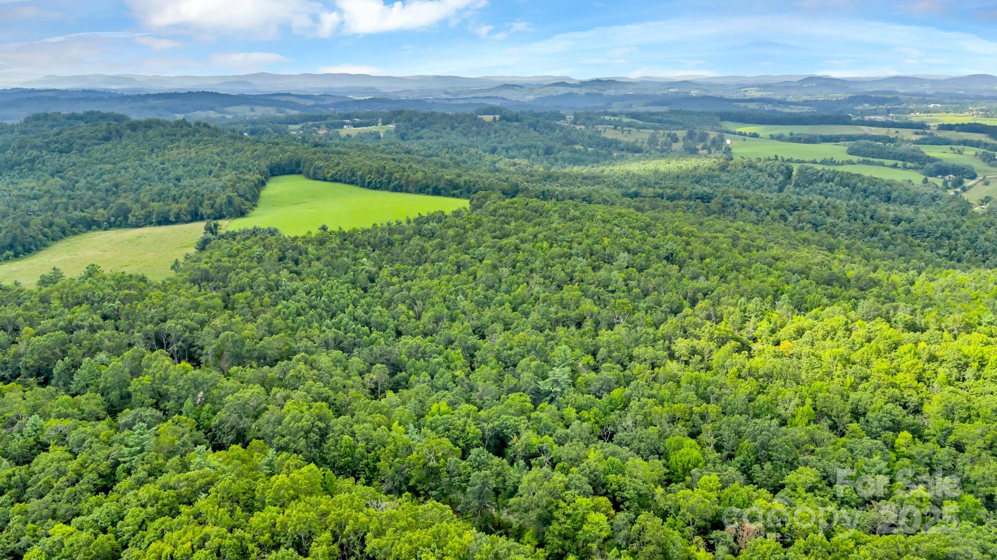 Tbd Murphy Bend Road Ennice NC 28623